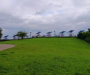 Płonące Ptaki w Koszalinie