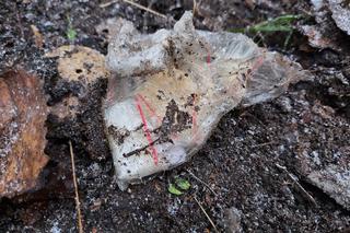 Otwock: policja zatrzymała dilera, który zakopał w ziemi ponad 2 kg narkotyków