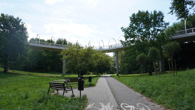 Wakacyjny spacer pod kładką nad wąwozem na Czubach. To jedno z najbardziej zielonych miejsc w Lublinie!