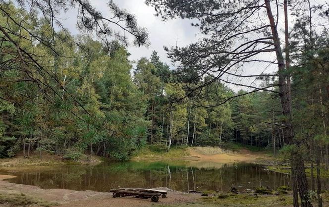 Kolorowe jeziorka w Bibieli na Pasiekach to atrakcja województwa śląskiego