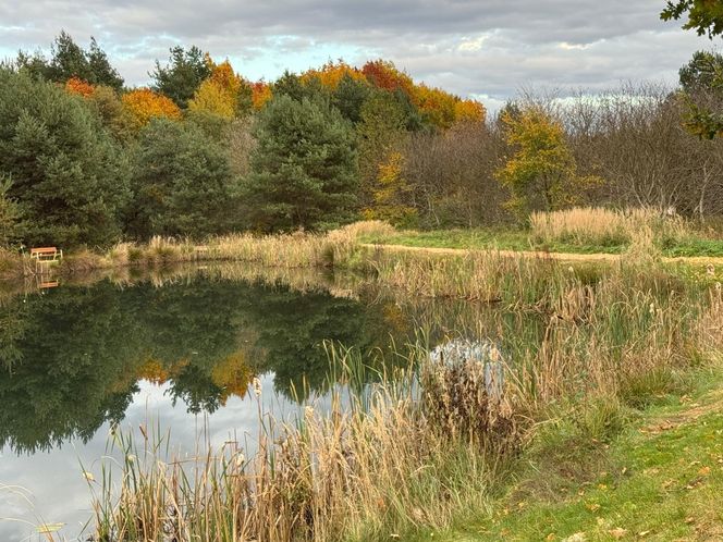 Serenity Park w Mysłowicach to nowe miejsce wypoczynku na Śląsku