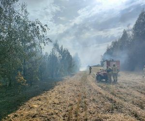 Pożar lasu