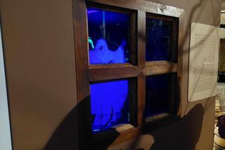 Groza w bydgoskim Exploseum. Jest tam wszystko, czego się boimy, od guseł i czarownic po eksperymenty szalonych naukowców