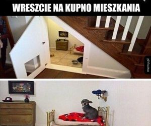 Najlepsze memy o deweloperach