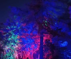 Ravekjavík 2025