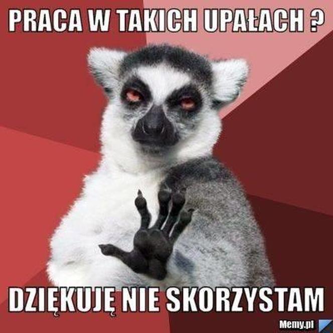 Do Polski dotarła fala gorąca. Te memy na temat upalnych dni rozbawią wszystkich do łez!