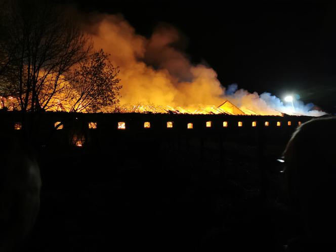 Pożar budynku gospodarczego w gminie Skoki