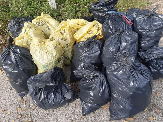 Grupa "Posprzątajmy Lublin" zbierała śmieci z Bystrzycy