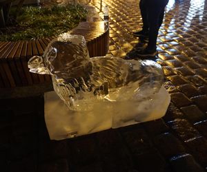 Poznań Ice Festival 2024 - dzień drugi