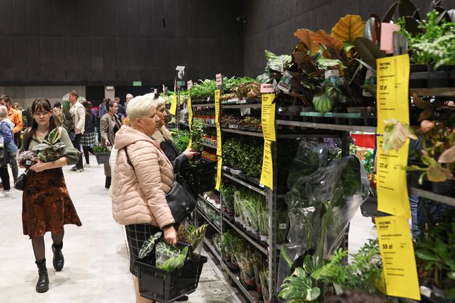 Festiwal Roślin w Katowicach przyciągnął tłumy miłośników zieleni. MCK przepełnione roślinnością