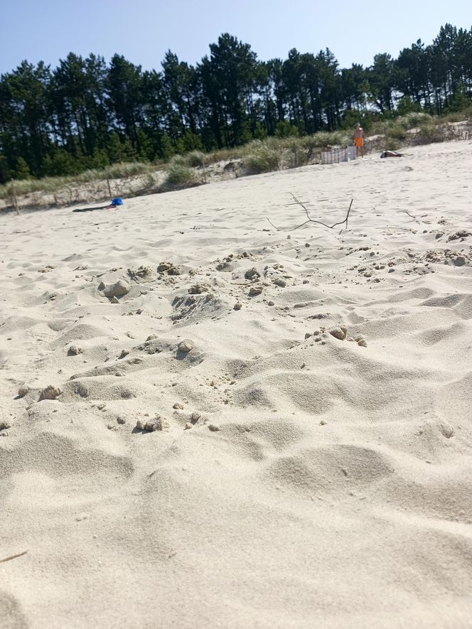 Plaża Karwia