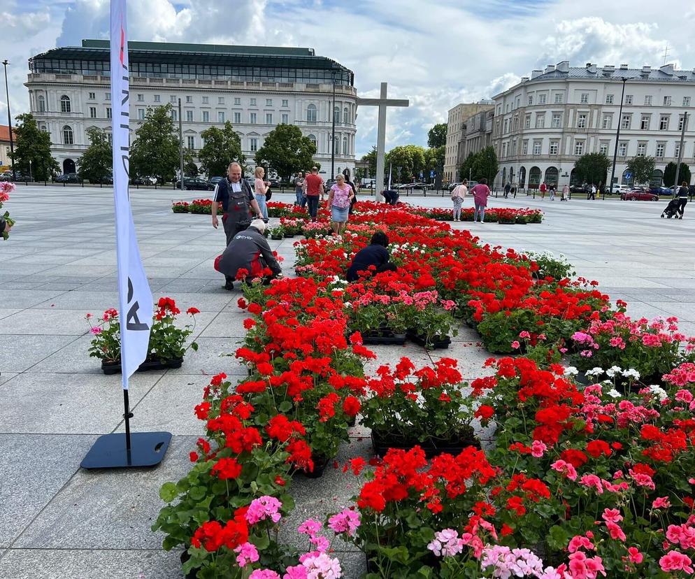 Gigantyczny krzyż na Placu Piłsudskiego. Ten protest AGRounii ucieszył warszawiaków