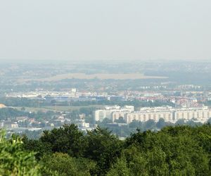 To najbardziej zielone osiedle w Krakowie wg AI. Zachwyca mieszkańców bliskością natury [GALERIA]
