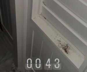 Aleksandra Żebrowska