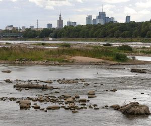 Rekordowo niski stan wody w Wiśle w Warszawie (23.08.2025)