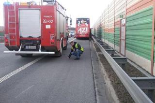 Wypadek Polskiego Busa na A2 pod Skierniewicami