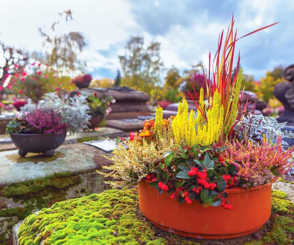 Jesienna wiązanka na cmentarz