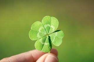 Matura 2024. Co zabrać na szczęście? Te magiczne przedmioty naprawdę działają!