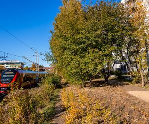 Park linearny na Służewcu w Warszawie pod koniec budowy