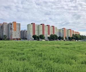 Ceny mieszkań w Śląskiem. Sosnowiec z rekordowym wzrostem