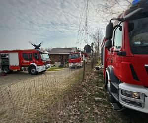 Ruszyła zbiórka na odbudowę budynku Muzeum Młynarstwa i Rolnictwa w Osiecznej. Zniszczył go ogień