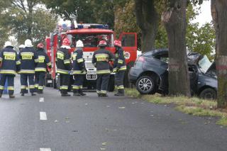 Wypadek w Krapkowicach