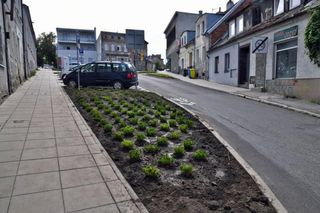 Zielona rewitalizacja Szwederowa. Blask odzyskają też stare kamienice. Bydgoskie osiedle zmienia się na lepsze