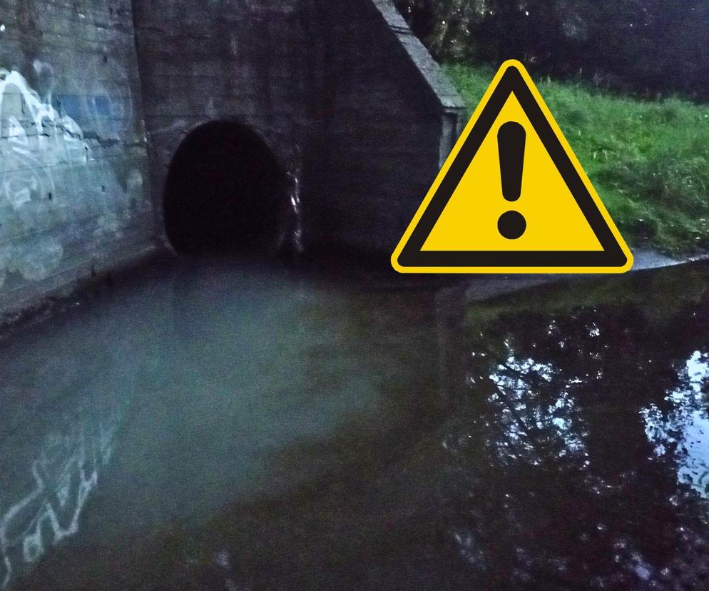 Zanieczyszczona woda w Potoku Służewieckim