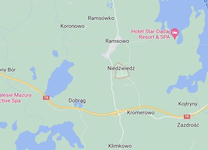 Niedźwiedź