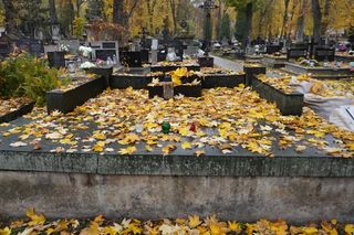 Moritz, Vetter, Plage i Laśkiewicz. Tak wyglądają groby znanych osób na najstarszym cmentarzu w Lublinie. Zdjęcia