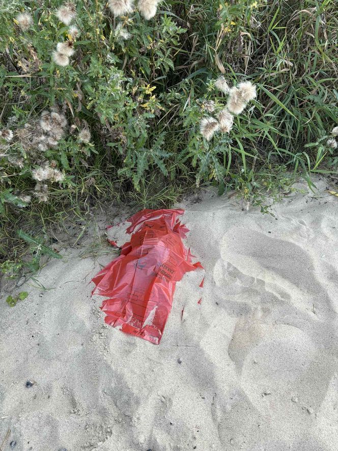 Makabryczne znalezisko nad Wisłą! Plażowicz wyłowił ludzką czaszkę