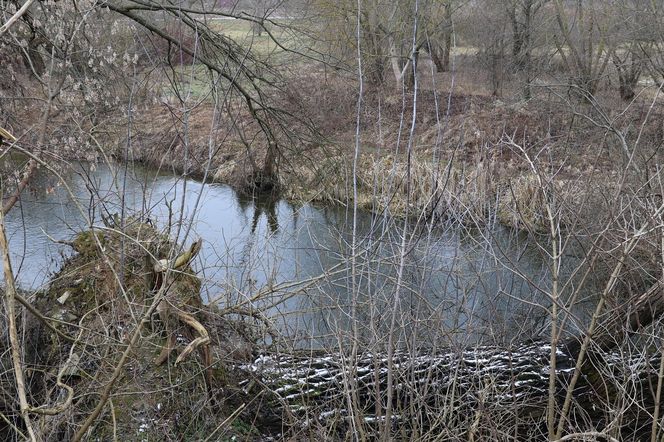 Spacer doliną Bystrzycy na lubelskim Wrotkowie