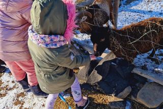 Ferie w Bieszczadach.