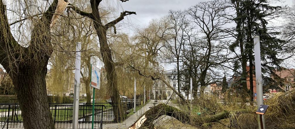 Skutki wichury nad Szczecinkiem
