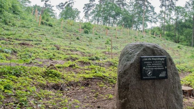Brodnicki Park Krajobrazowy to raj dla aktywnych turystów. Odkryj bajkowe trasy i miejsca, jakie znasz z powieści kryminalnych!