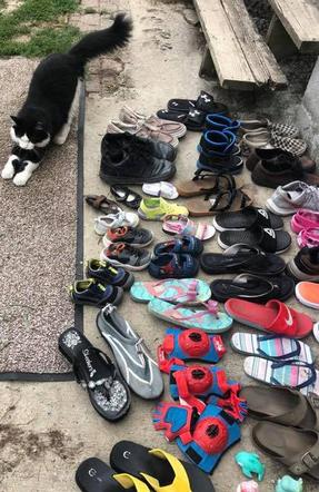 Sprytny kot okradła sąsiadów. Zabierał im... buty
