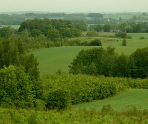 Park Krajobrazowy Wzniesień Łódzkich