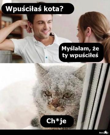 Memy o zimie roztapiają smutki. Te śnieżne obrazki rozbawią cię do łez [TOP 75]