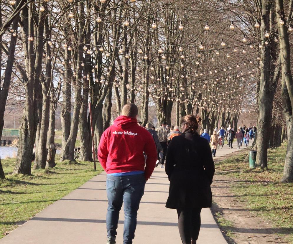 Z takiej pogody żal nie skorzystać. Nad Zalewem Zamborzyckim tłum spacerowiczów! [GALERIA]