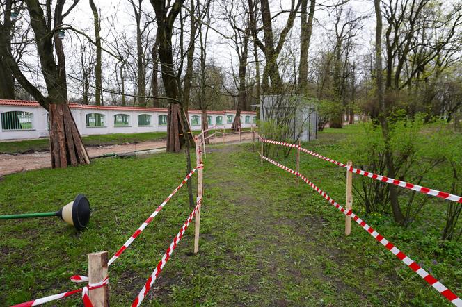 Remont parku Planty. Nie było dostępu do słynnej białostockiej toalety