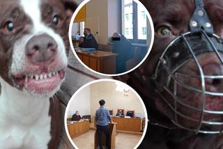 Kamila zagryzł pitbull. Ratownik płakał w sądzie, mówiąc o obrażeniach chłopca. Wstrząsająca relacja  