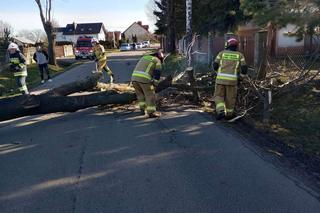 Straż pożarna zachodniopomorskie