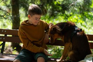 Barwy szczęścia odc. 3106. Ksawery (Bartosz Gruchot)