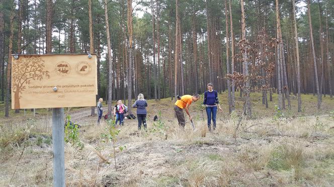 Zamość: Zamojski  PTTK świętował na 46. Rajdzie Miłośników Roztocza [WIDEO]