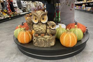 Ozdoby jesienne i na Halloween w sklepach już w lipcu 2024 r.