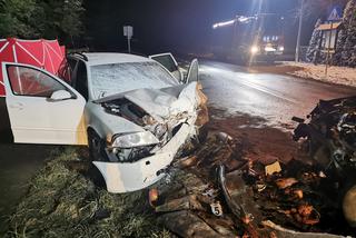 Tragiczny wypadek pod Lesznem, nie żyje roczne dziecko