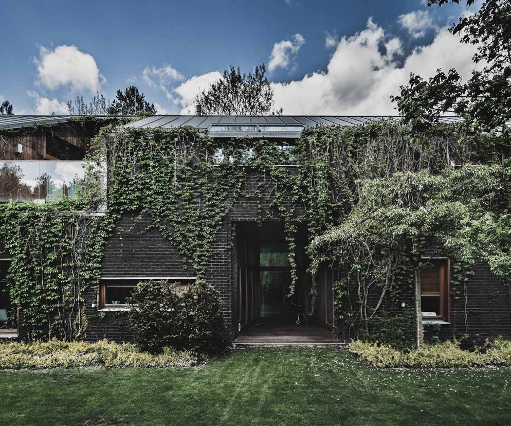 Jungle House