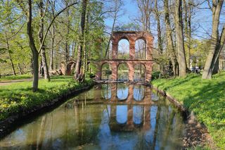 To najpiękniejszy park w Polsce. Warto przywitać tam wiosnę 