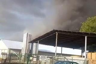 Pożar pod Stargardem