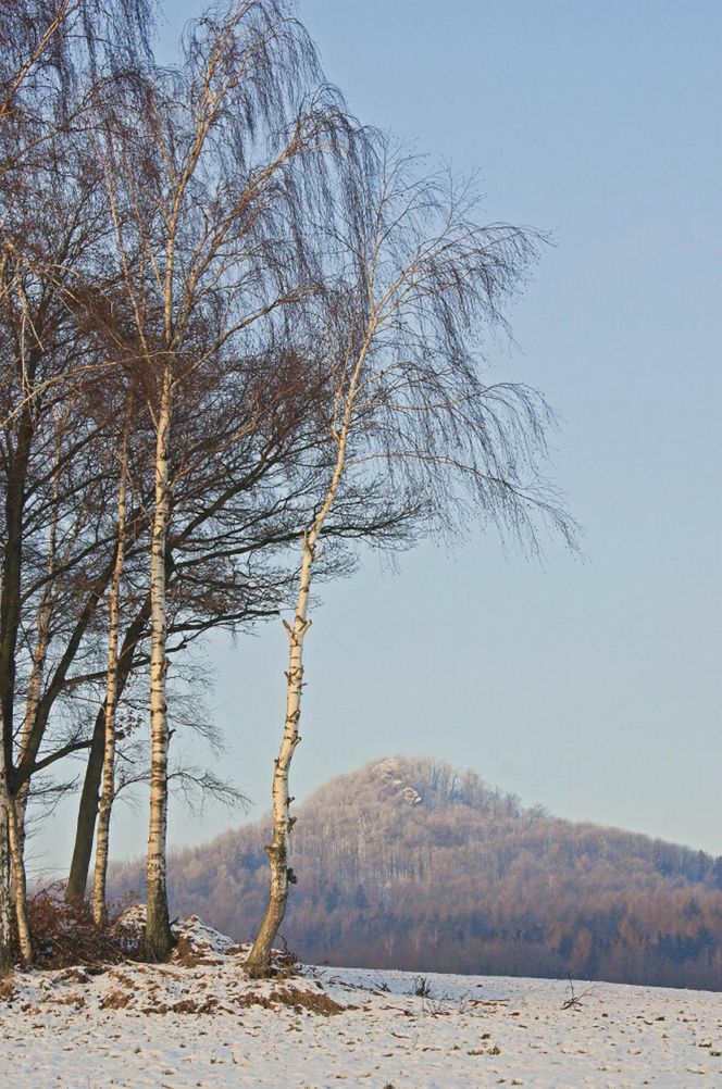 Ostrzyca Proboszczowicka, nazywana Śląską Fujiyamą